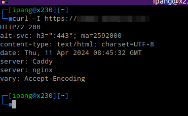 Caddy &amp; Trafex Default Header (Redundant Server: Header)