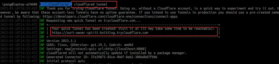 It Will Give You randomsubdomain.trycloudflare.com.
