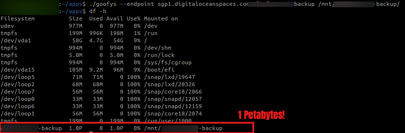 Punya Backup 1 Petabytes!