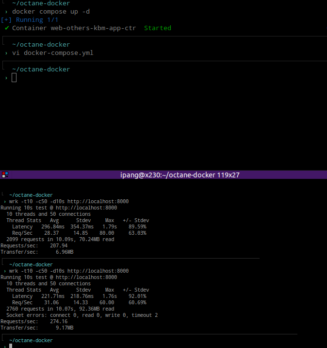 Menggunakan Dockerize Octane