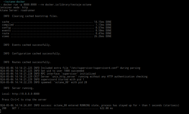 Laravel Octane Docker Image Running Successfully