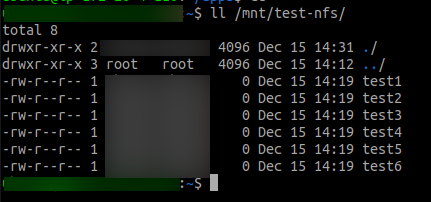 Mounted Using Goofys on /mnt/test-nfs folder