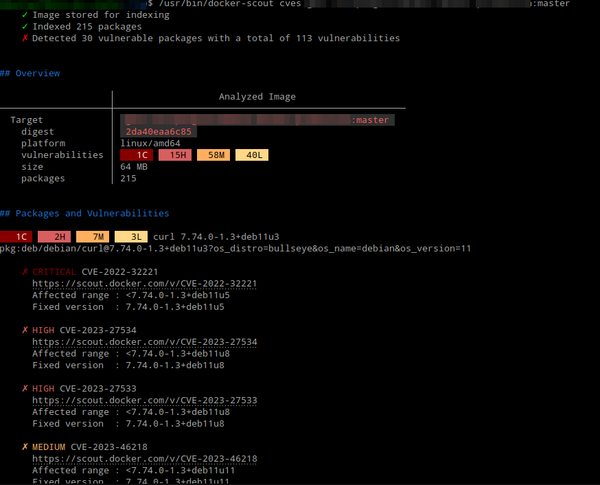 Mostly Vulnerabilities Due to Old Packages