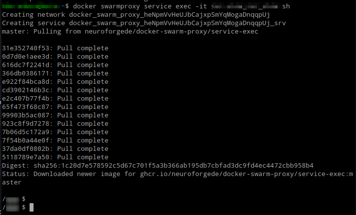 Remote Docker Swarm Service Sukses!