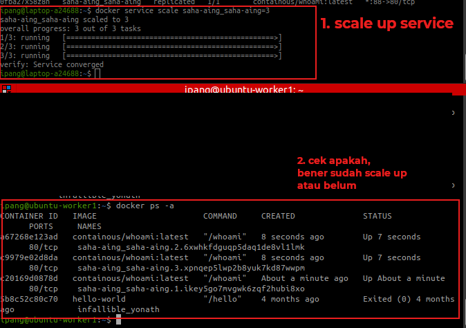 Test Scale Up Service
