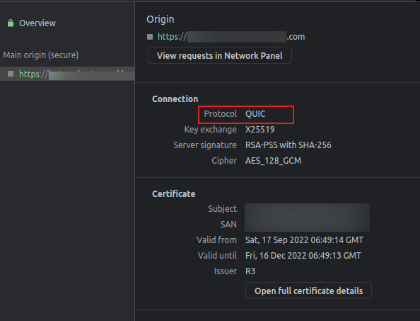 Check Connection di Tab Security Chrome Developer Tools