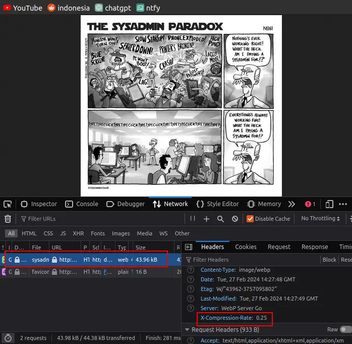 Now It Working By Adding width option http://localhost:3333/sysadmin-paradox.jpeg?width=400