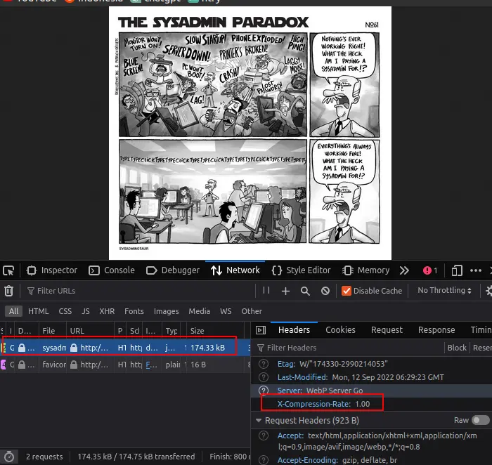 Convert To Webp Not Working, Read About &lsquo;X-Compression-Rate&rsquo;