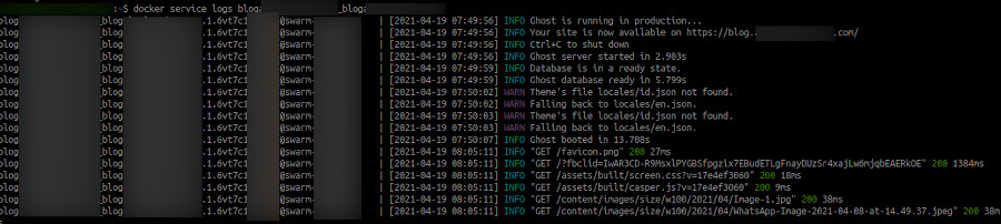 Log Ghost Swarm Mode