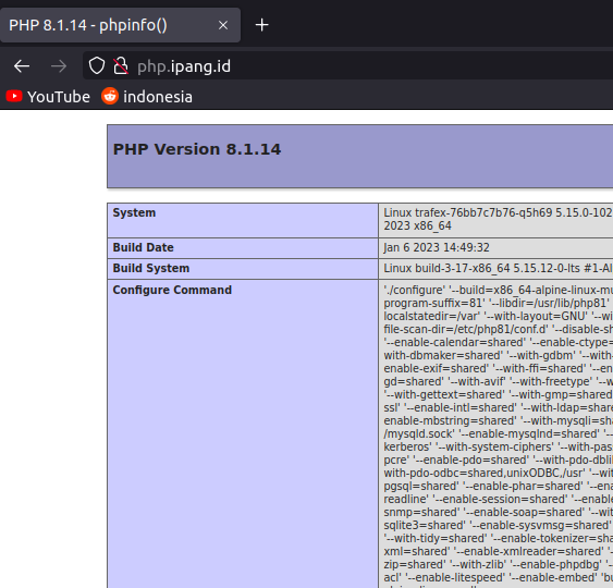 Trafex Deploy Sukses