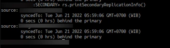 rs.printSecondaryReplicationInfo() Output