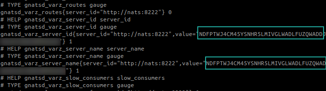 Make Sure, It Got A Same Name With NATS Server