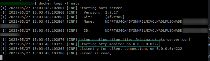 Check NATS docker logs