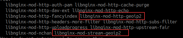 GeoIP Udah Masuk di nginx-extras