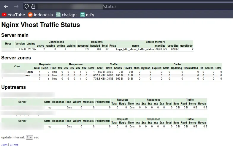 nginx-vts HTML Format