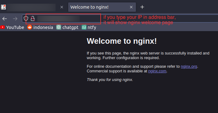 This Happen When You Access Your IP on Browser