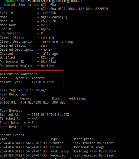 nomad alloc status ID