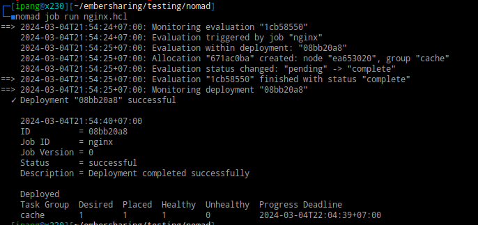 nomad job run nginx.hcl