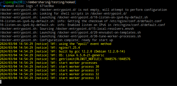 nomad alloc logs -f ID