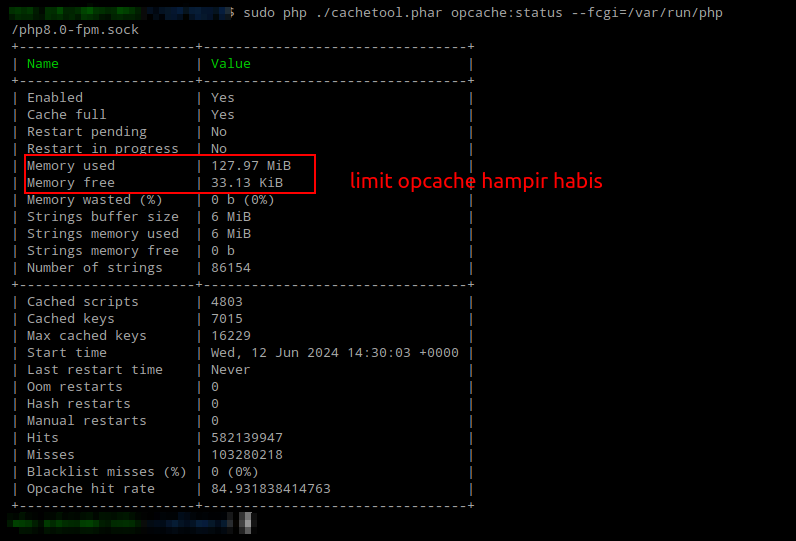 Setup Opcache Default