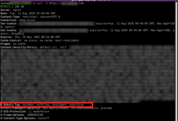 Test Menggunakan Curl (Tampak Config X-Robots Sudah Terbaca)