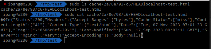 Cek Direktori Cache, Ini Familiar Buat Yang Sering Pake Nginx Cache